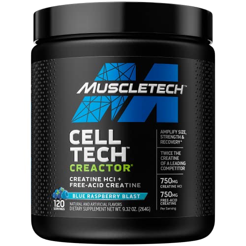 Creatine Monohydrate Powder MuscleTech Platinum Pure Micronized Muscle Recovery + Builder for Men & Women Workout Supplements Unflavored (80 Servings)