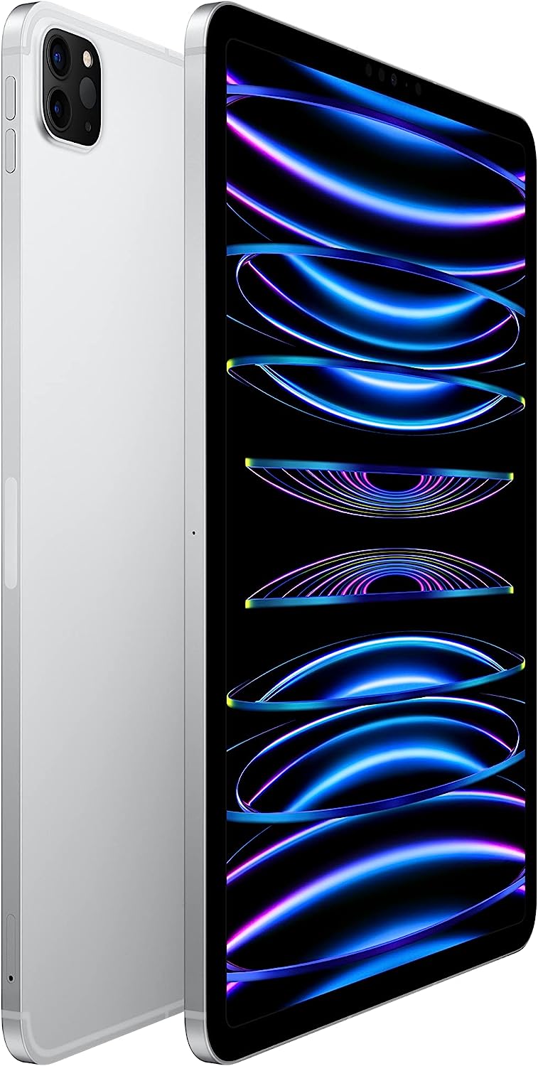 Apple 2022 11-inch iPad Pro (Wi-Fi, 256GB) - Space Gray (4th generation)