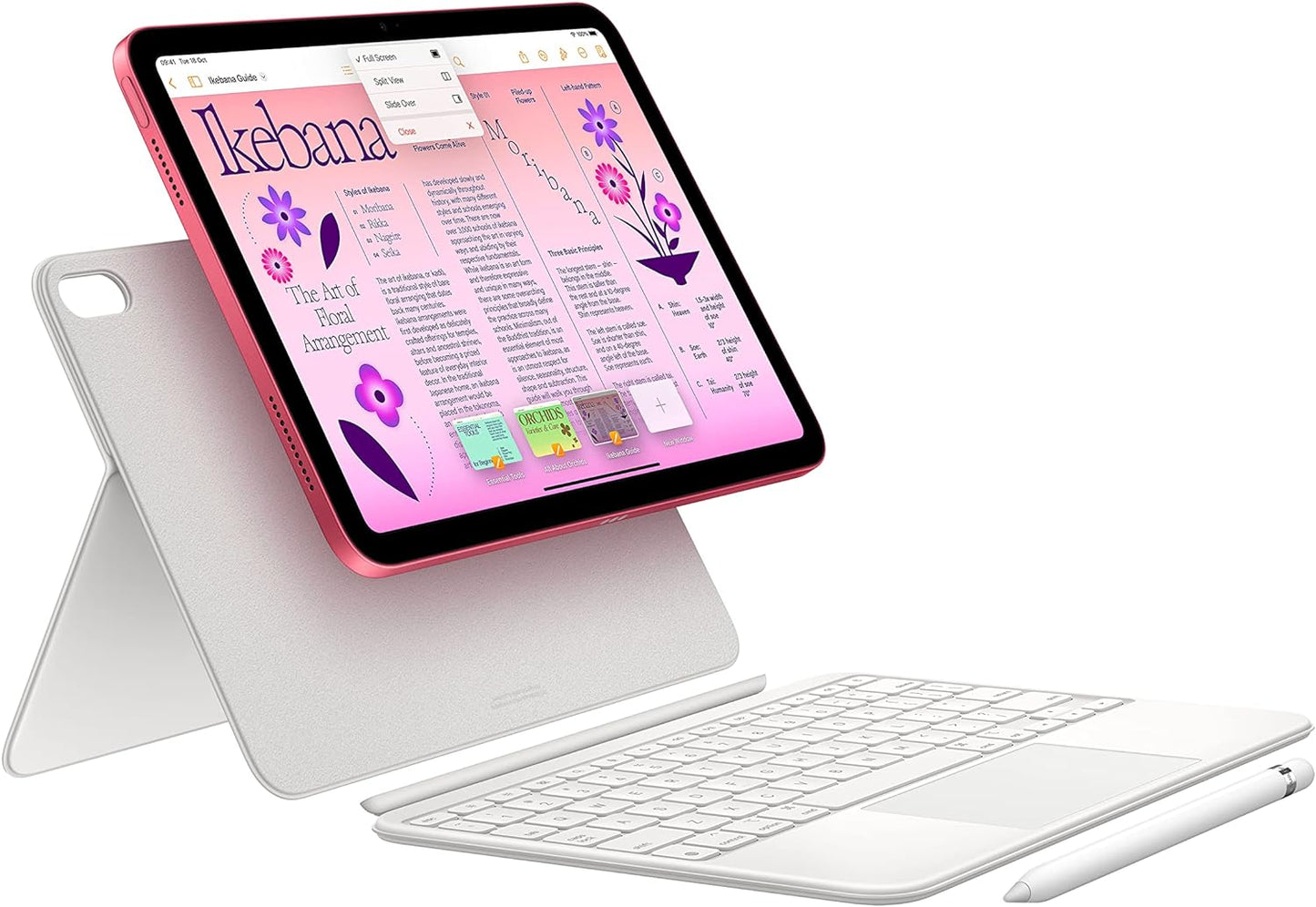 Apple 2022 10.9-inch iPad (Wi-Fi + Cellular, 256GB) - Silver (10th generation)