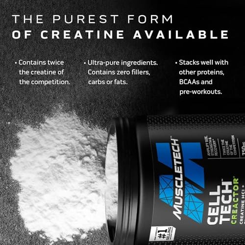 Creatine Monohydrate Powder MuscleTech Platinum Pure Micronized Muscle Recovery + Builder for Men & Women Workout Supplements Unflavored (80 Servings)