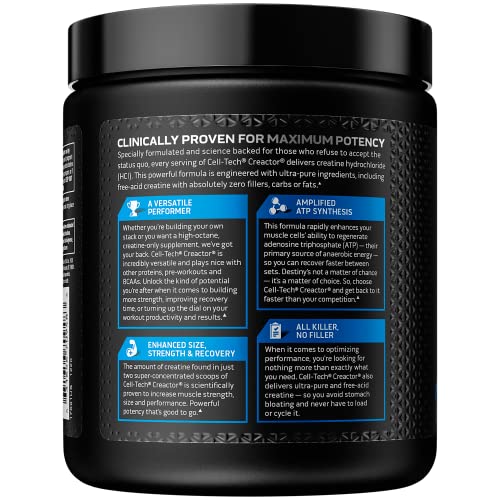 Creatine Monohydrate Powder MuscleTech Platinum Pure Micronized Muscle Recovery + Builder for Men & Women Workout Supplements Unflavored (80 Servings)