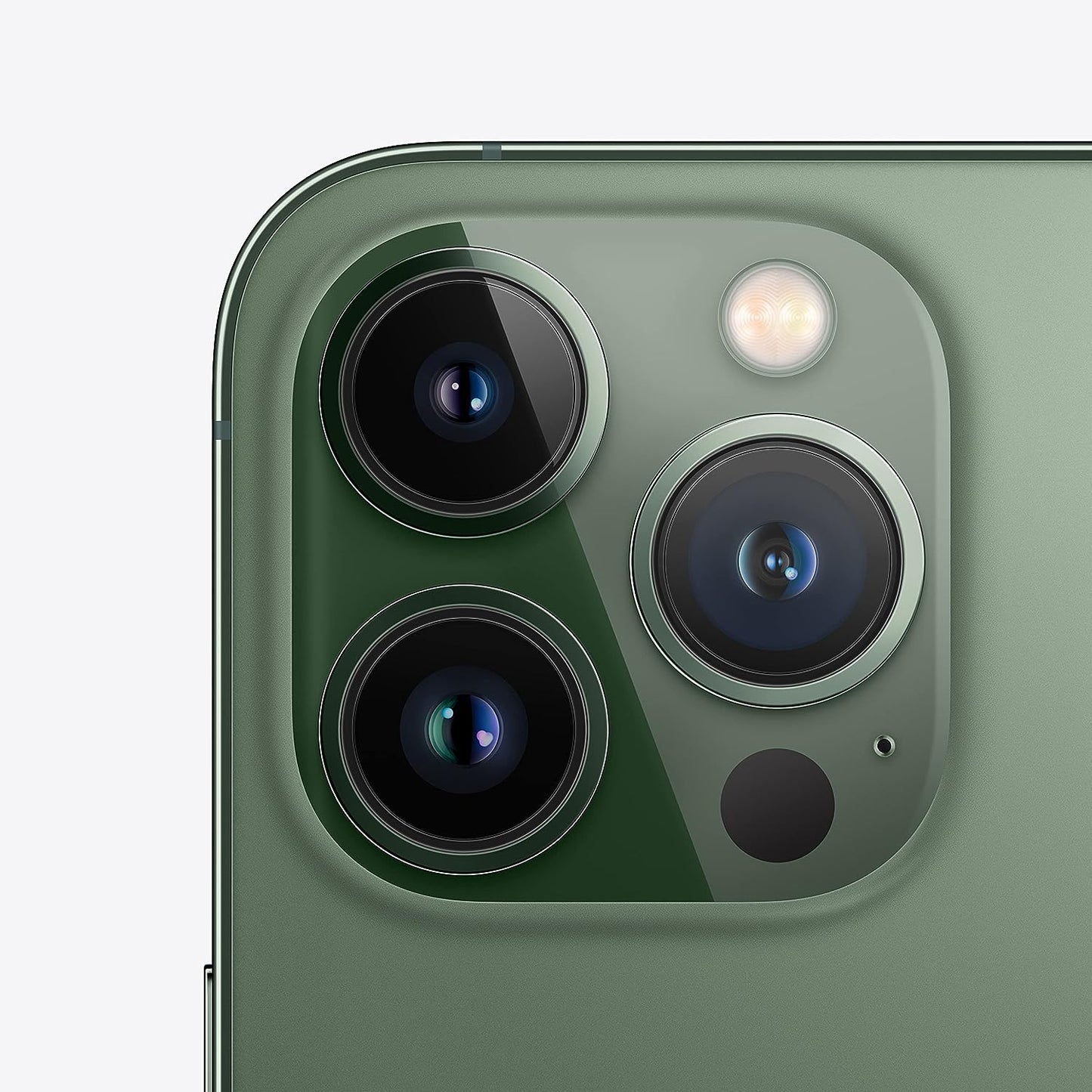 Apple iPhone 13 Pro Max (256 GB) - Alpine Green (Renewed)